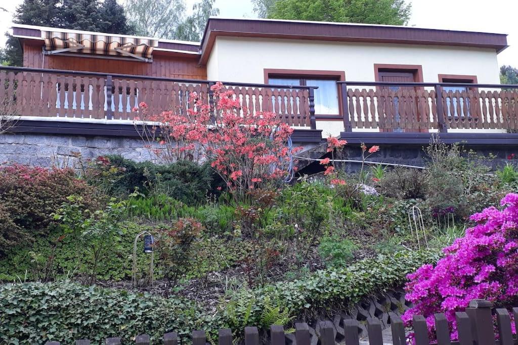 Bungalow Bluehende Oase Sebnitz Eksteriør bilde